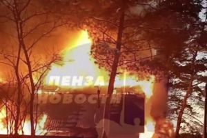 Соцсети: на территории пензенского СНТ полыхает частный дом