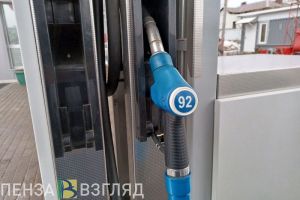 Пензенская область заняла 66-е место в России по доступности бензина