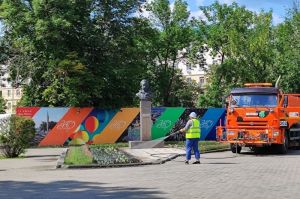 Бархатцы – тайные вредители? Что нужно знать перед их посадкой