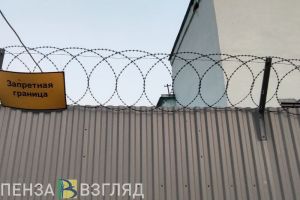 Заключенный пензенец передал сотруднику колонии деньги за передачу «запрещенки»