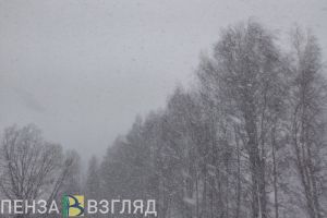 Массовая авария с двумя погибшими, желтый уровень погодной опасности, пожар с пострадавшим – новости Пензы и области за 15 февраля