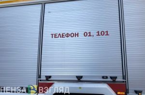 В Засечном из окна дома выбросили горящую подушку