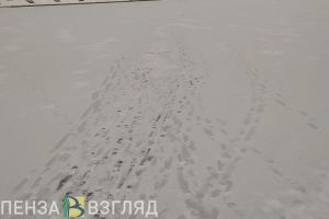 В МЧС подтвердили факт гибели провалившегося под лед человека на Суре