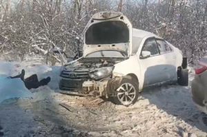 ГАИ сообщила подробности смертельного ДТП с 2 погибшими в Пензенской области
