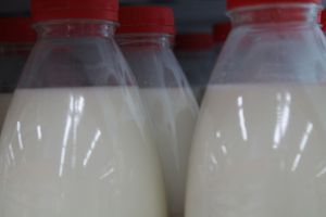 Смешала продукты и забросила в духовку: делаю сочную запеканку без муки и головной боли