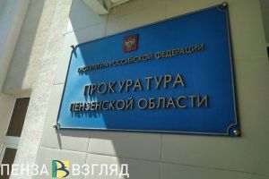 В 2024 году пензенские прокуроры нашли нарушения при реализации 13 нацпроектов