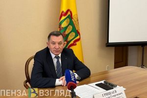 Пензенская область достигла рекордных показателей ввода жилья в 2024 году