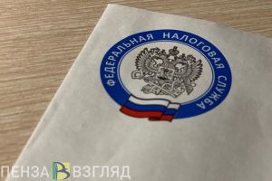Пензенцам расскажут о налогах и сроках их уплаты в центрах «Мои документы»