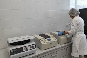 Врачи бьют тревогу из-за теплой погоды: повысился риск инфекционных заболеваний