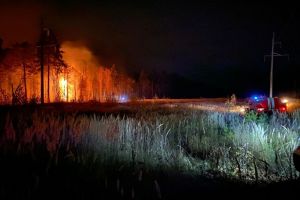 В Пензенской области будет высокий риск пожаров из-за малоснежной зимы