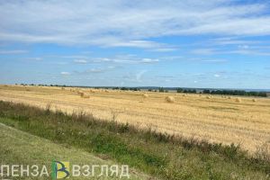 Аграриям в Пензенской области готовы предоставить льготные кредиты