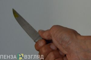 В Городищенском районе мужчина напал на полицейского с двумя ножами