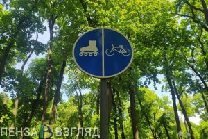 В пензенской Гордуме обсудили, что делать с питбайкерами