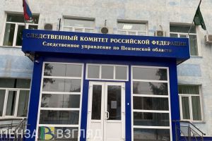 Бастрыкин поручил ускорить расследование смерти ребенка из Пензенской области