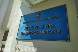 В пензенской прокуратуре изучат обстоятельства инцидента на Масленице в Засечном
