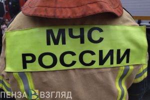 За неделю в пожарах на территории Пензенской области погибли двое