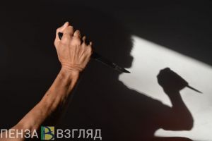 Вынесен приговор братоубийце из Пензенской области