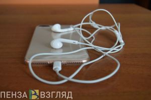 В Пензенской области выросли объемы онлайн-торговли
