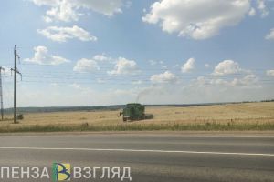 За 2 месяца из Пензенской области экспортировали более 920 тонн зерна