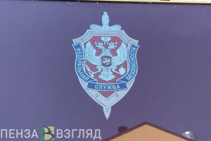 ФСБ предотвратила теракт в соседнем с Пензенской областью регионе
