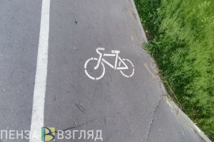 Велосипедисту из Никольска вынесли приговор за сбитую пенсионерку