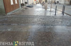 Бешенство в районе, снег и гололед, антибиотики в молоке - новости Пензенской области за 16 марта