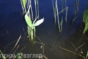 Пензенская крупная торговая сеть нарушала экологические нормы