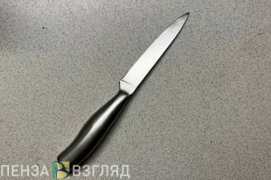 Сердобчанин вонзил своему помощнику нож в бедро