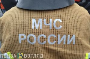 В Пензенской области за прошедшую неделю 3 человека погибли в пожарах