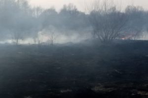 За сутки в Пензенской области сухая трава и мусор горели более чем на 10 га