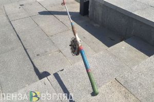 Житель Сердобска заявил, что хранил марихуану для рыбалки