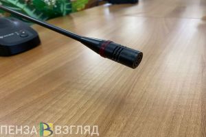 Жиганшу Туктарова лишили полномочий депутата Пензенской городской Думы