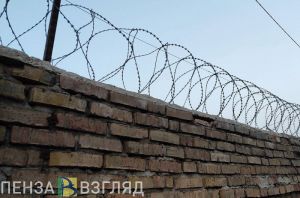 Пензенец довел женщину до психического расстройства жестокими издевательствами
