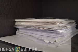 Прокуратура проводит проверку из-за нападения собаки на ребенка в Богословке