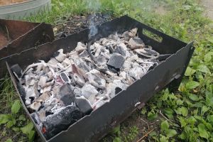 Сочные шашлыки на углях: с рецептом справится любой