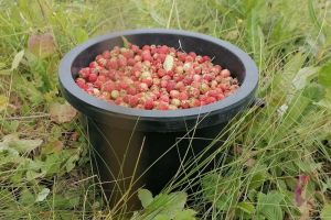 9 чудо-продуктов для гипертоников: пенсионерам стоит задуматься — пора бежать в магазины закупаться