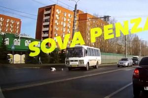Появилось видео ДТП в Пензе со сбитым пешеходом