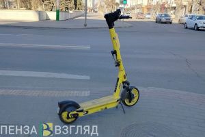 Главе Следкома Бастрыкину доложат о проверке инцидента с самокатом в Пензе