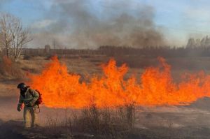 В Пензенской области за сутки потушили 10 пожаров