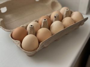 Увеличьте яйценоскость кур втрое: секретный рецепт корма от матерых фермеров
