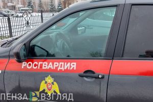 Росгвардейцы потушили горящую машину на ул. Измайлова в Пензе