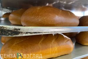 В Пензенской области в феврале больше всего подорожали хлеб и рыба