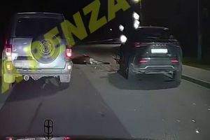 Опубликовано видео со сбитым насмерть в пензенских Ахунах лосем