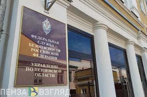 УФСБ задержало злодейку, выманившую 3 млн рублей у жителей Пензенской области