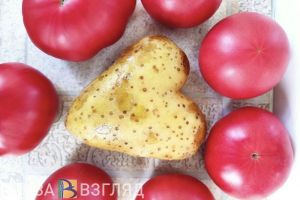 В России продолжают расти цены на картофель