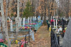 Итоги визита Мельниченко в Беларусь, завершение отопительного сезона, несанкционированное кладбище в Кузнецке — новости Пензы и области за 10 апреля