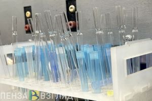 Студенты из Пензенской области могут выиграть 1 миллион рублей на свой проект
