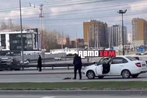 Появилось видео, где мужчина сбил собаку и выбросил на обочину в Пензе