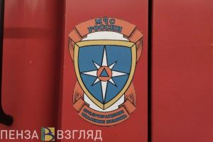 В МЧС сообщили подробности пожара на улице Карпинского