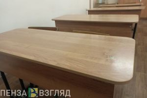 В школу Каменки родители учеников покупали мыло, краску и туалетную бумагу